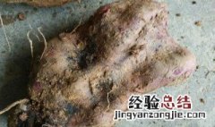 田薯有什么功效与作用 田薯有什么功效与作用图片
