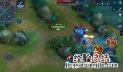 王者里野王是什么 王者野王是什么