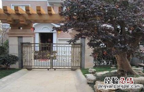 百香果药害叶子表现 百香果药害怎么办