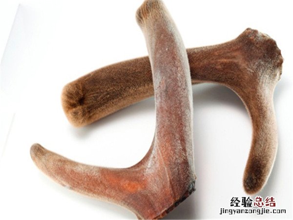 鹿茸胶的功效与作用 鹿茸胶的功效与作用及食用方法