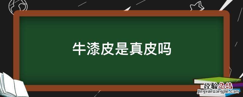 牛漆皮革是真皮吗 牛漆皮是真皮吗