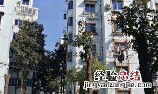 家里砍树有什么禁忌 砍树风水禁忌