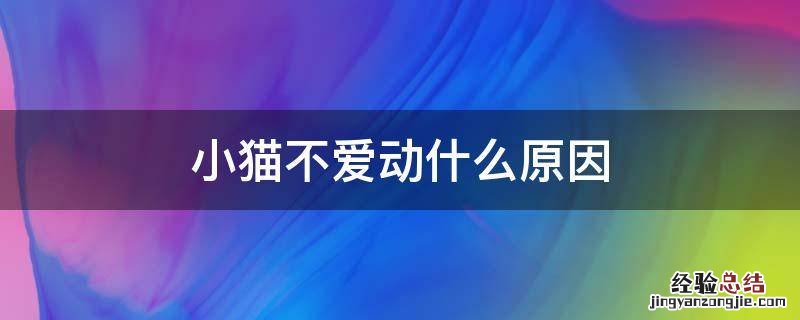 小猫不爱动什么原因 小猫不爱动是怎么回事