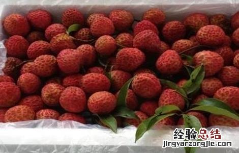 荔枝贮运保鲜技术新进展 荔枝的贮运保鲜技术