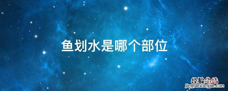 鱼划水是哪个部位 鱼划水的部位