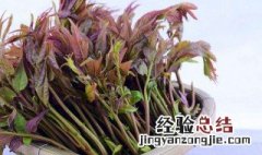 香椿的功效与禁忌 香椿炒鸡蛋怎么炒