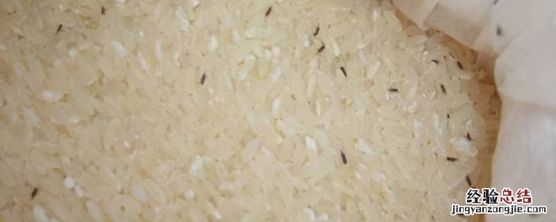 大米生虫子怎么处理干净 大米生虫子怎么处理?