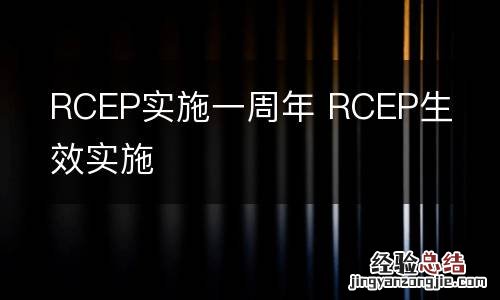RCEP实施一周年 RCEP生效实施