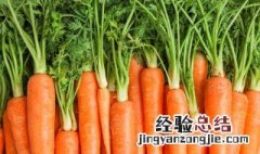 胡萝卜最简单的保存方法 胡萝卜最好的保存方法