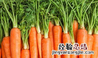 胡萝卜最简单的保存方法 胡萝卜最好的保存方法