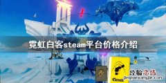 霓虹白客多少钱