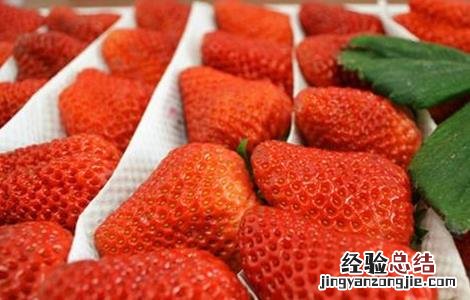 牛奶草莓种植管理方法视频 牛奶草莓种植管理方法