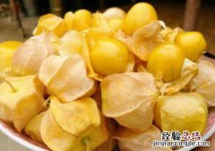 姑娘果 功效 姑娘果的功效与作用，姑娘果怎么吃