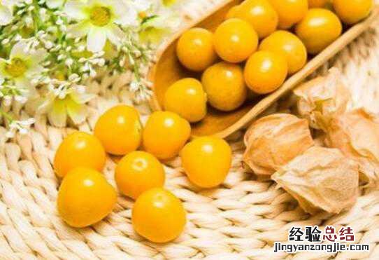 姑娘果 功效 姑娘果的功效与作用,姑娘果怎么吃