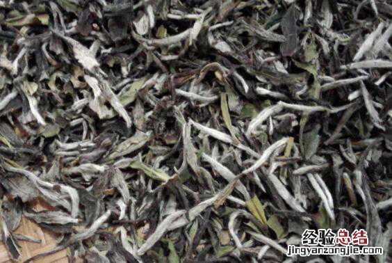 福鼎大白茶和小白茶的区别 福鼎大白茶和老白茶的区别