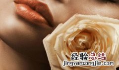玫瑰花花语文案 香槟玫瑰花语文案