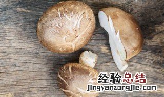 香菇韭苔 香菇韭苔鸡蛋饺子