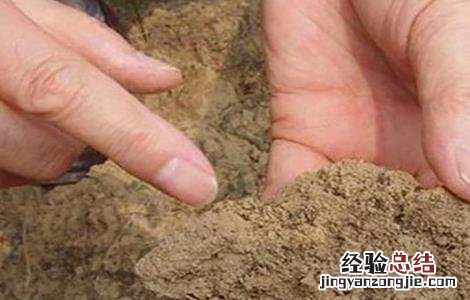 土壤板结怎么造成的 果園土壤板结是怎样造成的