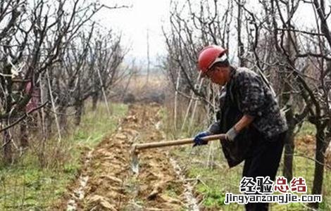 土壤板结怎么造成的 果園土壤板结是怎样造成的