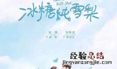 冰糖炖雪梨小说剧情 小说《冰糖炖雪梨》