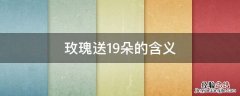 玫瑰送19朵的含义 玫瑰送19朵代表什么意思?