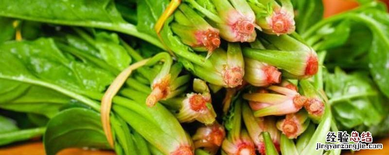 水煮菜可以煮哪些菜,减肥不能放什么 水煮菜可以煮哪些
