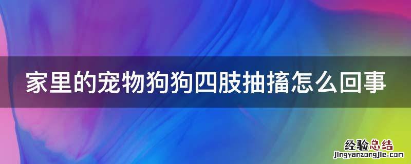 家里的寵物狗狗四肢抽搐怎麽回事 家里的寵物狗狗四肢抽搐怎麽回事啊
