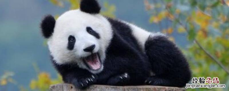 梵什么意思是什么 梵星是什么意思