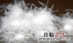 80羽绒90羽绒的区别 80羽绒90羽绒的区别在哪