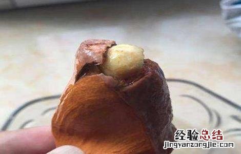 榴莲种子怎么种 榴莲种子怎么种出盆栽