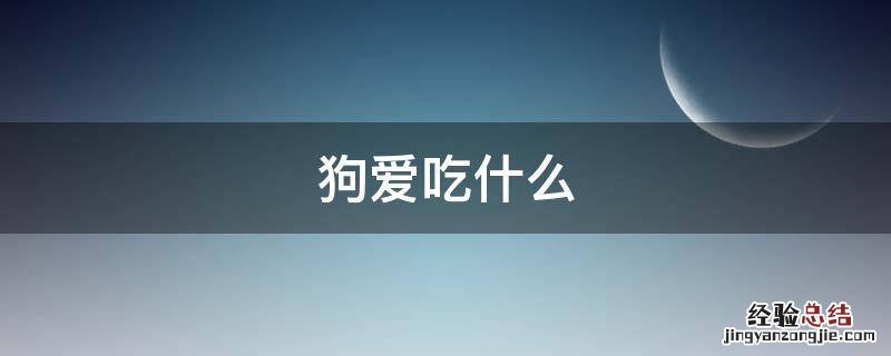 狗爱吃什么东西? 狗爱吃什么