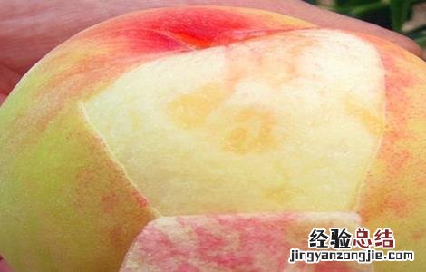 常见的桃子品种有哪些 常见的桃子品种有哪些名称