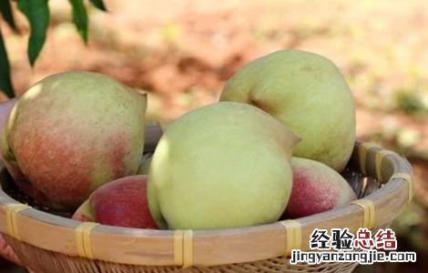 常见的桃子品种有哪些 常见的桃子品种有哪些名称