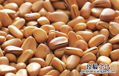 松子种植多久能结果啊 松子种植多久能结果