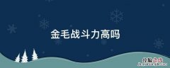金毛战斗力高吗 金毛战斗力强吗