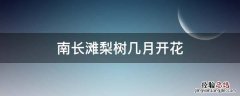 南长滩梨树几月开花 苹果梨树几月开花