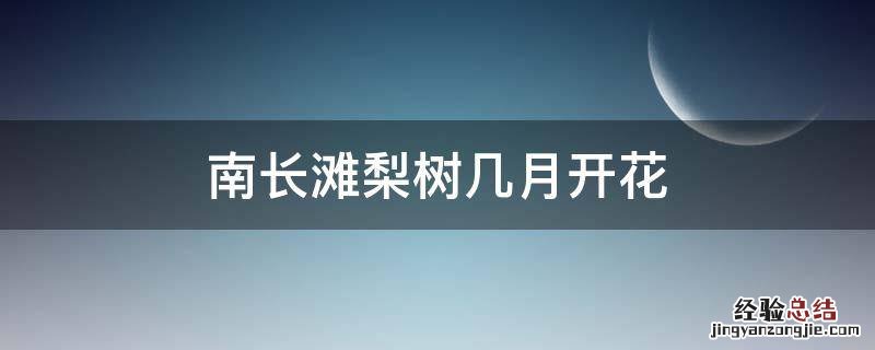 南长滩梨树几月开花 苹果梨树几月开花