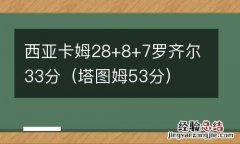塔图姆53分 西亚卡姆28+8+7罗齐尔33分