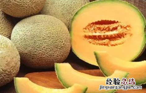 甜瓜常见品种 甜瓜常见品种介绍
