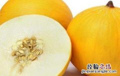 甜瓜常见品种 甜瓜常见品种介绍
