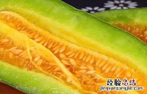 甜瓜常见品种 甜瓜常见品种介绍