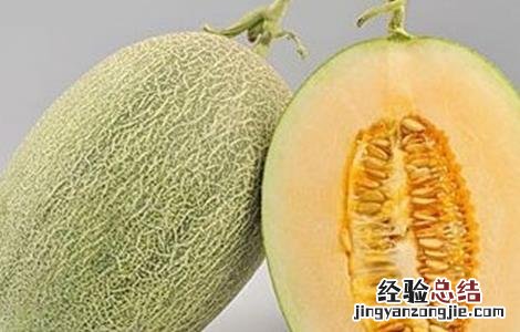 甜瓜常见品种 甜瓜常见品种介绍