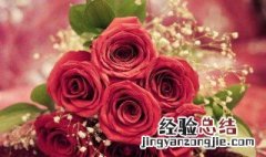 孕妇梦见一大片玫瑰花是什么意思 孕妇梦见一大片玫瑰花是什么意思呀