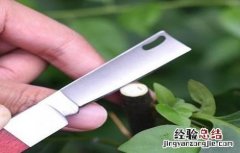各种果树嫁接时间 果树嫁接时间与方法