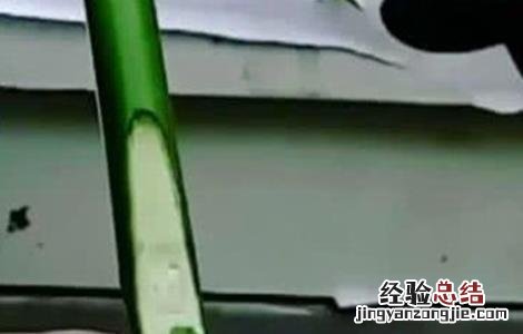 各种果树嫁接时间 果树嫁接时间与方法