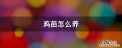 鸡苗养殖 鸡苗怎么养