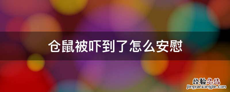 仓鼠受到惊吓怎么安抚 仓鼠被吓到了怎么安慰