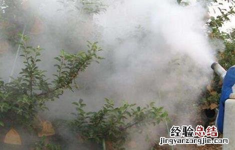 夏天给果树打药注意事项 夏天果树喷药注意事项