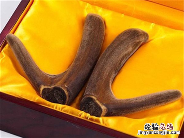 鹿茸益精丸的功效与作用 鹿茸益精丸的功效与作用及禁忌