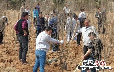 石榴该如何浇水 石榴该如何浇水呢